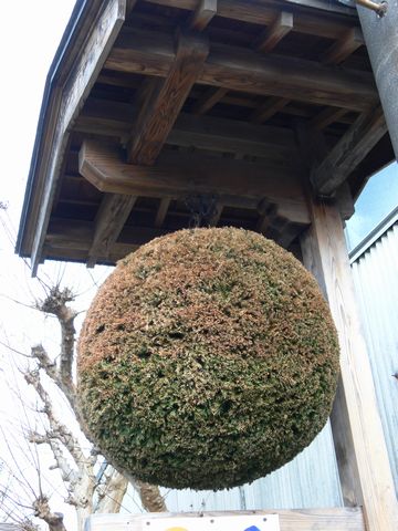 2.jpg (43691 �o�C�g)