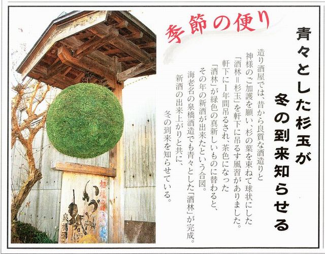 5.jpg (86188 �o�C�g)