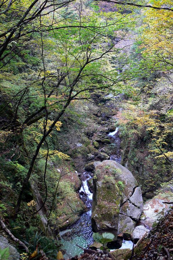 1.jpg (199967 �o�C�g)