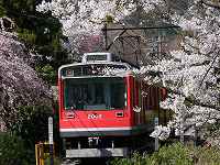 1.jpg (8736 �o�C�g)