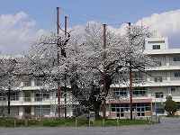 3.jpg (9338 �o�C�g)