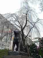 4.jpg (8768 �o�C�g)