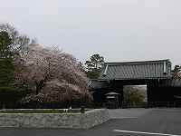 5.jpg (8390 �o�C�g)