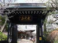 7.jpg (8096 �o�C�g)