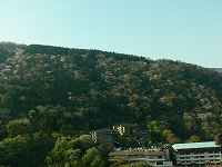 1.jpg (8736 �o�C�g)