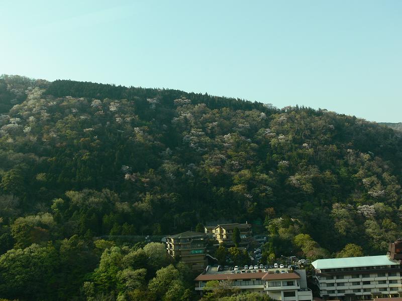 1.jpg (71794 �o�C�g)