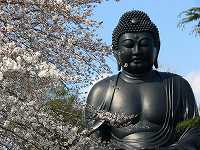 4.jpg (8768 �o�C�g)