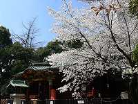 5.jpg (8390 �o�C�g)