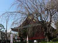 8.jpg (8667 �o�C�g)