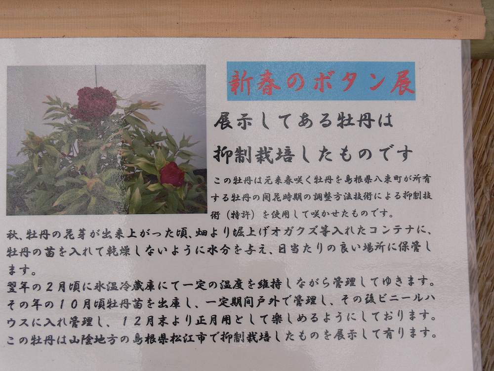 a.jpg (104810 �o�C�g)