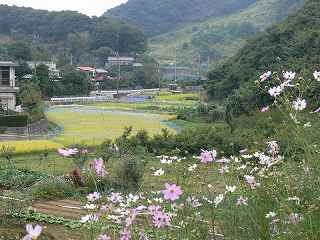 ���؎s��Ñ�n��̗��R�̕��i