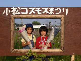 ���_�ސ쌧��R���E�����n��̃R�X���X���ɂāB