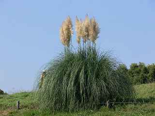 ������ƋC�ɂȂ镗�i���ʂ��Č��܂����B