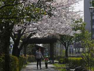 6.jpg (13634 �o�C�g)