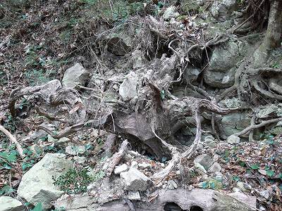 10.jpg (50522 �o�C�g)