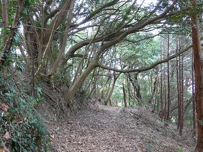 11.jpg (47856 �o�C�g)