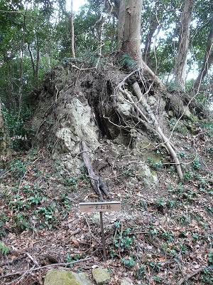 18.jpg (52692 �o�C�g)