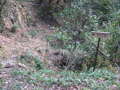 20.jpg (51083 �o�C�g)