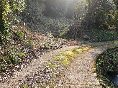 4.jpg (43484 �o�C�g)