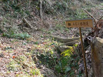 5.jpg (50073 �o�C�g)