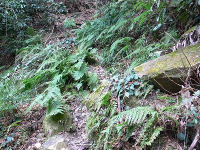 6.jpg (54281 �o�C�g)