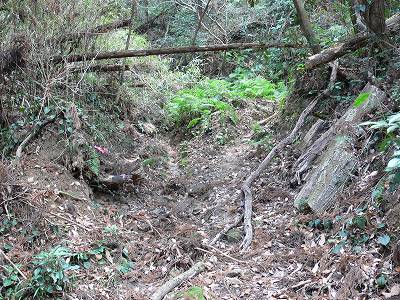 7.jpg (52817 �o�C�g)