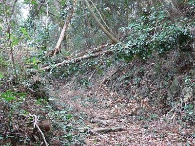 8.jpg (54760 �o�C�g)