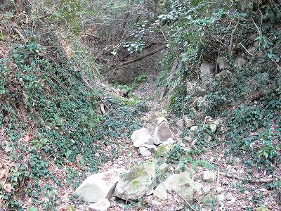 9.jpg (52867 �o�C�g)