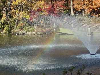 �����̐����Ɍ��ꂽ