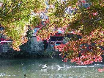 ���������Ĕ�я��J����