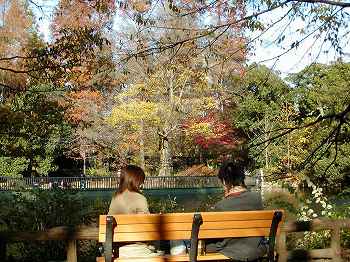 �i���̈����m���ߍ�����l