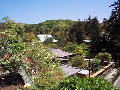 kama04-3.jpg (26155 バイト)