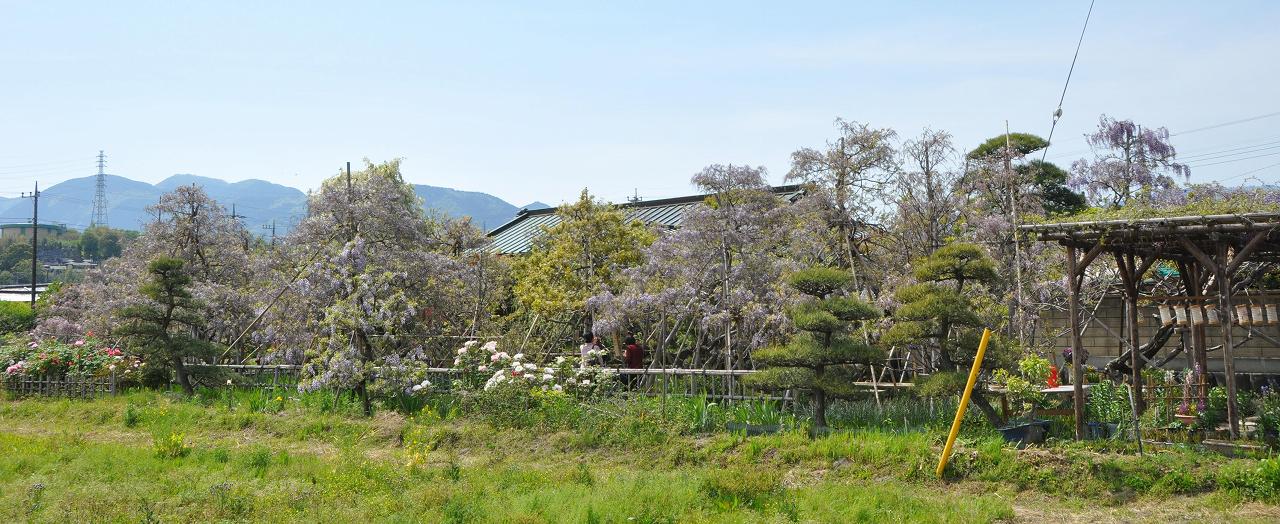 a.jpg (172750 �o�C�g)