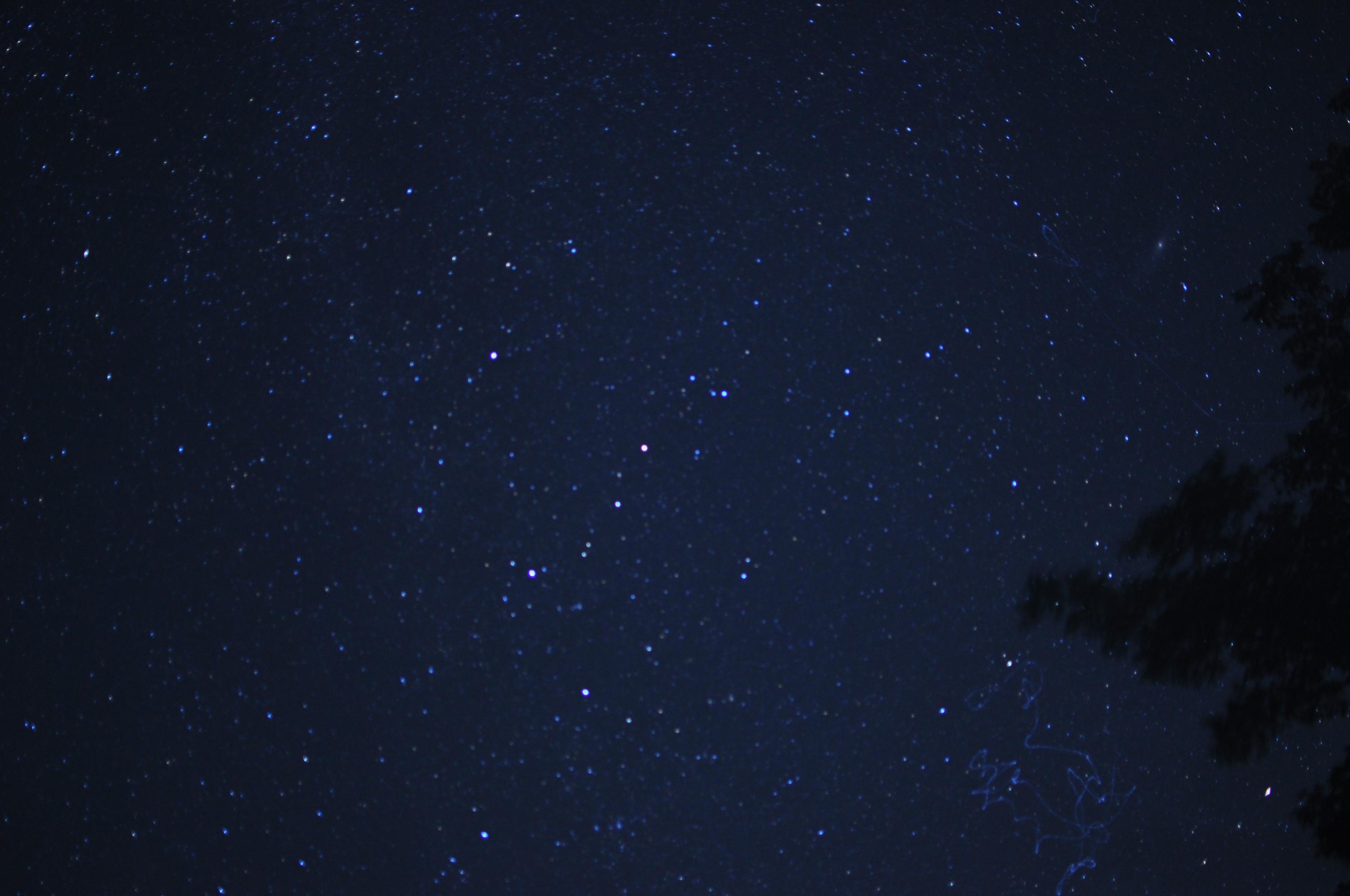 waid.jpg (274968 �o�C�g)