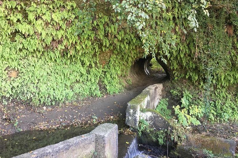 ab.jpg (181988 �o�C�g)