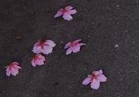 a.jpg (6021 �o�C�g)