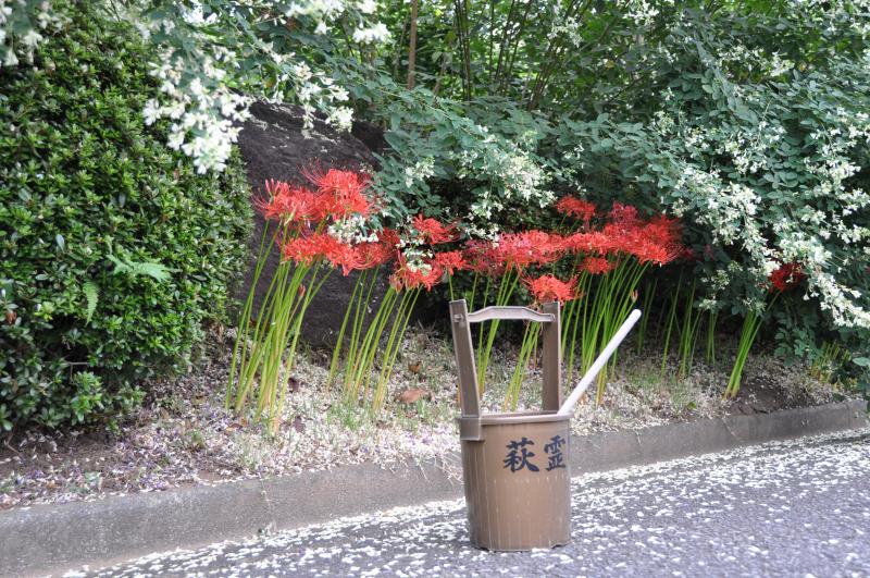 02.jpg (135402 �o�C�g)