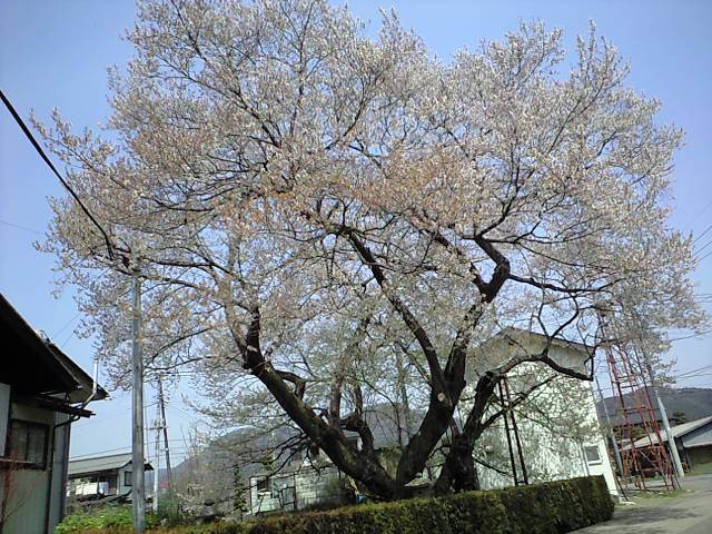 1.jpg (24344 �o�C�g)