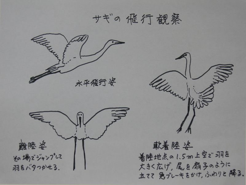 a800.jpg (49604 �o�C�g)