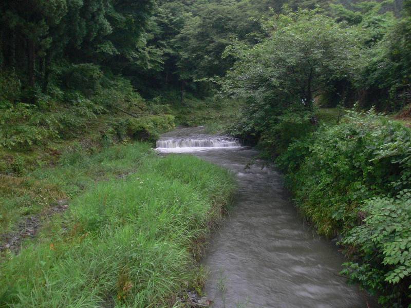 hino.jpg (55089 �o�C�g)