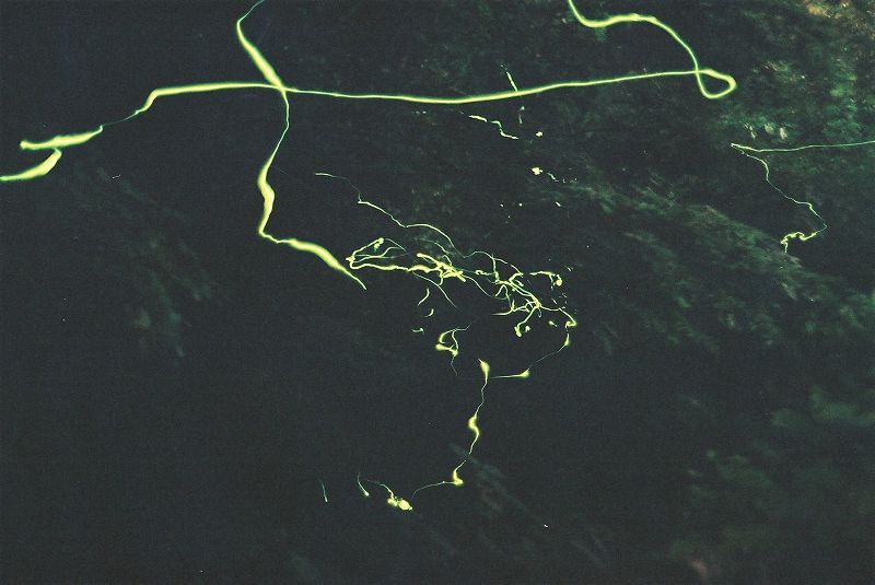 b1.jpg (56655 �o�C�g)