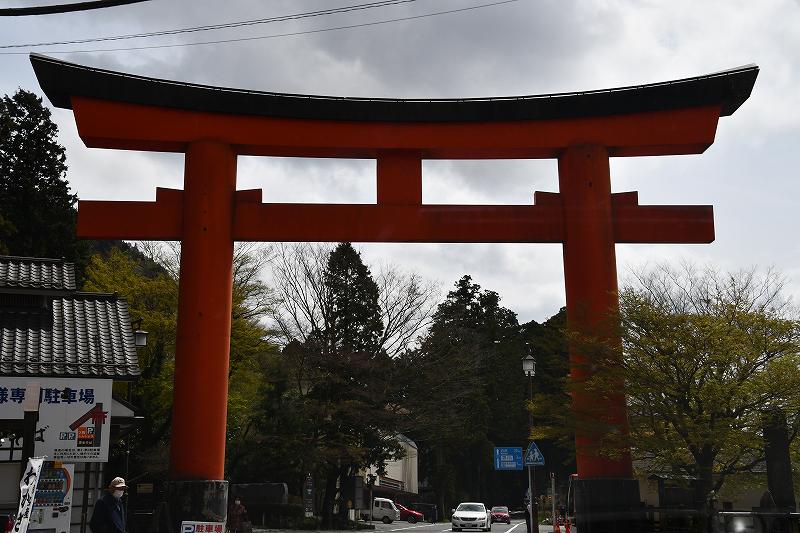 DSC_2023.jpg (79674 �o�C�g)