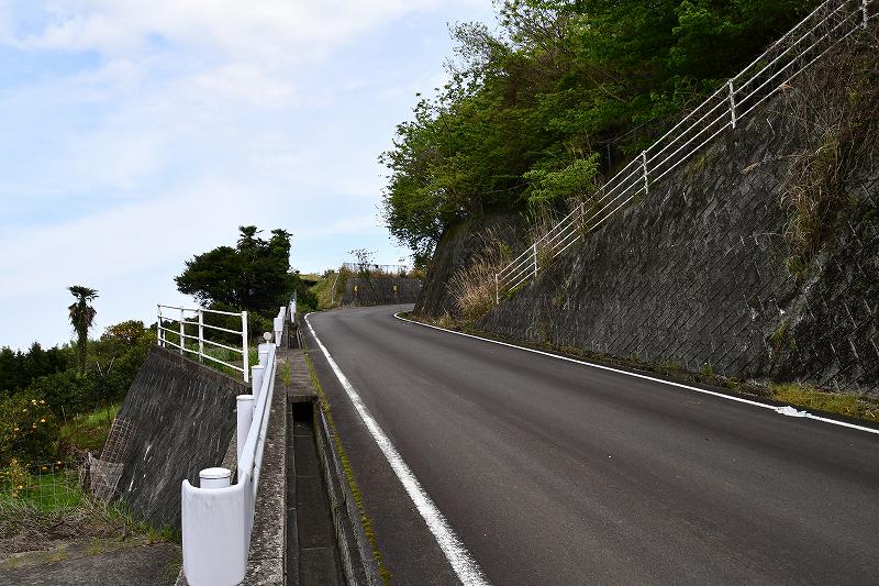 DSC_2043.jpg (102263 �o�C�g)