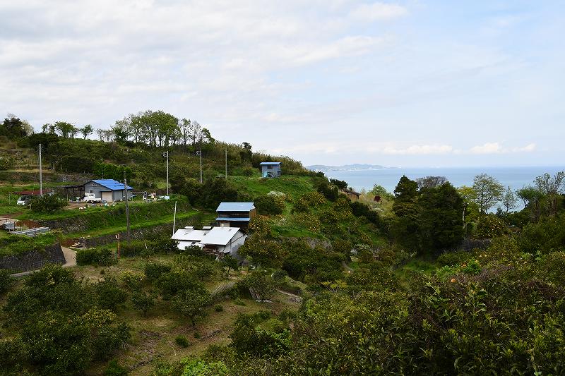 DSC_2044.jpg (97049 �o�C�g)