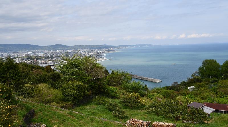 DSC_2050.jpg (77620 �o�C�g)