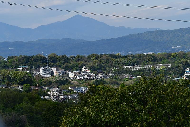 DSC_2064.jpg (85039 �o�C�g)