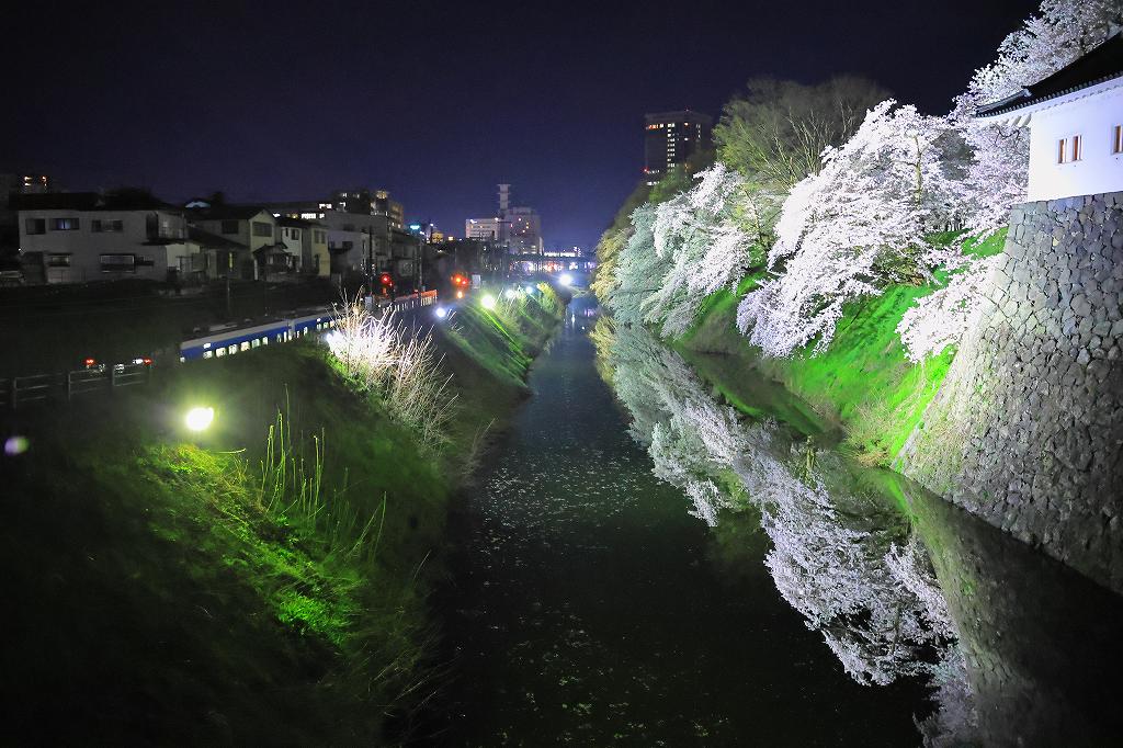 霞城公園の桜【その2ライトアップ】4月18日（金）18時～